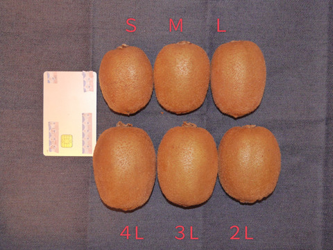 ※追熟済※寒い冬にキウイでビタミンたっぷり！奈良県室生産のこだわりキウイフルーツ３Ｌサイズ