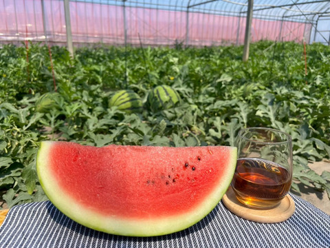 種ごと食べれるスイカ誕生！『ぷちっと』（1玉：約4人分）