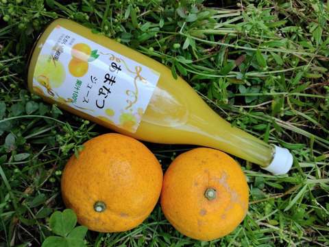 【愛媛県産】甘夏ジュース（2本入り 720㎖/本）【熨斗対応可】