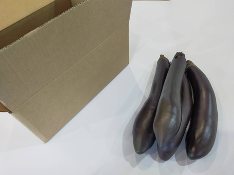 ふわっ！とろっ！ふわとろ長なす2kg