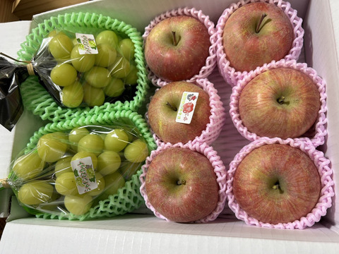 ※12/27　午前9時まで支払い済みになっているご注文は年内に発送させて頂きます。　まるせい果樹園　冬シャインマスカットとふじの詰め合わせ　約3ｋ  ob7