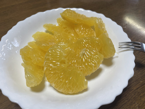 食べチョク限定　【グレープフルーツ・はっさく・甘夏など】混合セット。すべて農薬は未使用　箱込みで4・8キロ以上