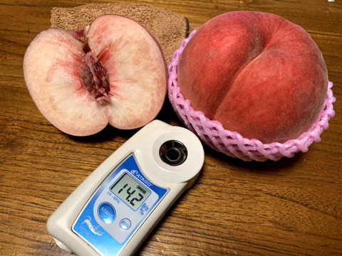 桃硬い桃おどろき大サイズ10個二箱同梱クール便Iris プレミアム白桃 硬い桃おどろき約3kg(8〜12玉)固い桃