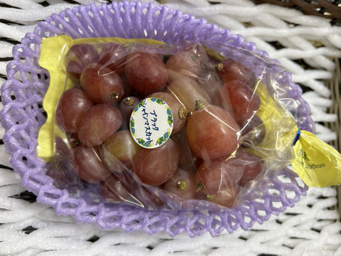 ！すぐ出荷！クレジットカードで支払いの方のみ！まるせい果樹園のぶどう　富士の輝き　500ｇ　バラ詰め　自家用　贈答用　ｂｈ1