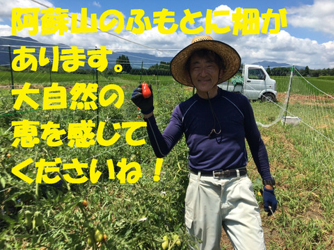 【新にんにく】１㎏ あま～いホクホク！有機、農薬不使用、阿蘇の水で育ちました。