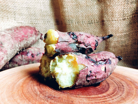 素朴な甘味！懐かしい味”ゆきこまち”1.5kg