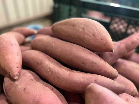 鳥取大山の麓 甘い芋 紅はるか 強めのホクホク食感 大小詰合せセット 内容量3.0kg 女性のパワーで大地を彩る