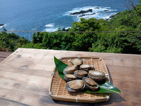 【限定5セット】屋久島産 天然磯貝 300g｜採れたて急速冷凍・天然の味