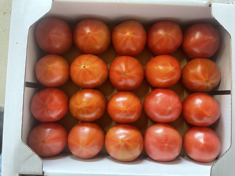 濃厚で甘い！完全無添加『垢田トマトジュース』
530ml