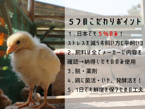 【育雛期間 600日：丸鶏とミンチセット】月50羽しか出ない希少品山もりたまごのいいとこどり