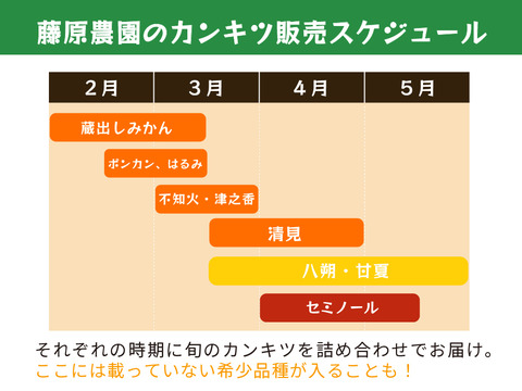 【食べ比べ】みかん・カンキツ詰め合わせセット5kg｜和歌山県海南市下津町から旬のみかん・かんきつ詰合わせセットを産地直送、農園直送でお届け。清見、セミノール、甘夏、八朔等、様々な柑橘が楽しめます