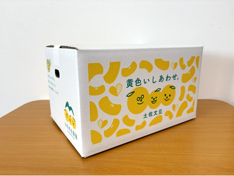 化学合成農薬栽培期間中不使用　土佐文旦　家庭用訳あり品　大玉 　5kg入(7〜8個)　黄色いしあわせ®　文旦の本場👑高知県土佐市産　☆便利な皮むき器付き　※北海道への配送はできません