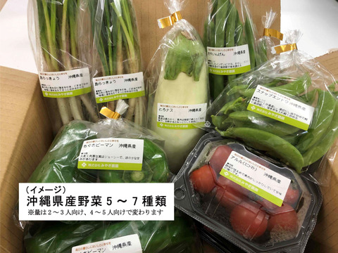 沖縄県産 おまかせ野菜セット（野菜5～7種類(２～３人向け））