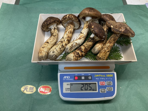 マツタケ  松茸 すだち付き】無選別品 開き まつたけ（松茸） 長野県・岩手県産 約200g
