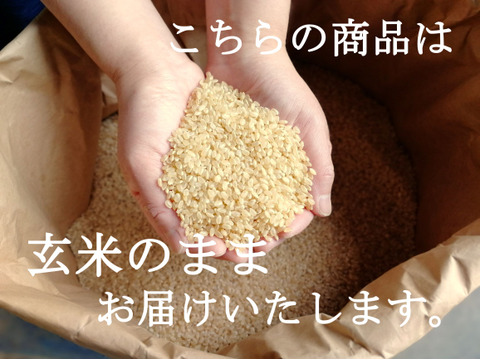 令和8年産 【玄米15㎏】特別栽培米ミルキークイーン：長野県産のお米