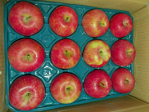 今が旬です！ひろさきふじ （ご家庭用・３キロ箱１２個入り） 青森県産 りんご