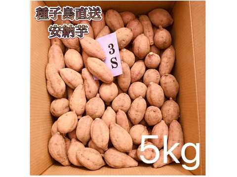 【絶品】aimo農園｜安納芋 3Sサイズ 5kg(箱別)