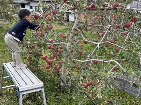 【無添加】長野県産 りんごジュース　ストレート果汁100%【ギフト梱包】熨斗対応可　1000㎖×2本