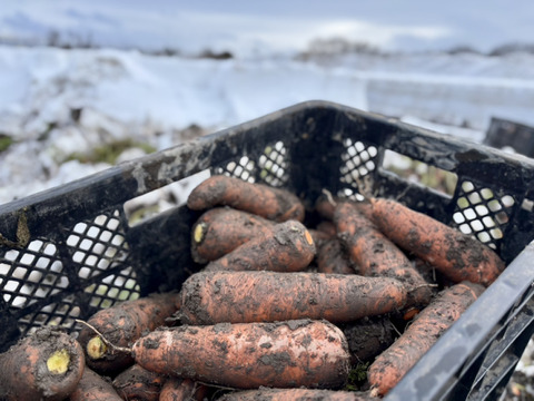 【季節限定】えべつの冬が生んだ香るごほうびキャロットケーキキット