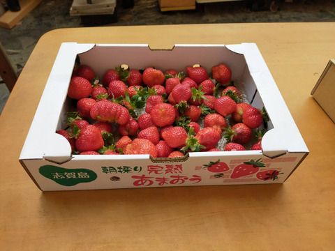 あまおう苺 ジャム加工用 1キログラム
