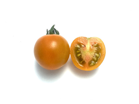 オレンジ色ミニトマト 1kg【プリっとした食感・栄養満点】熊本県産：ギフトメッセージ対応