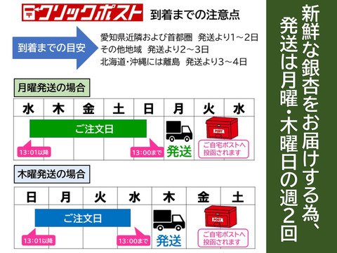 銀杏の王様【藤九郎】大玉３Ｌサイズ（500ｇ）