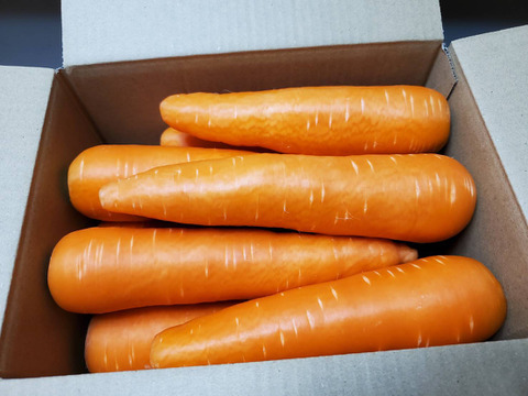 期間限定！大きなニンジン（恋ごころ）約3kg