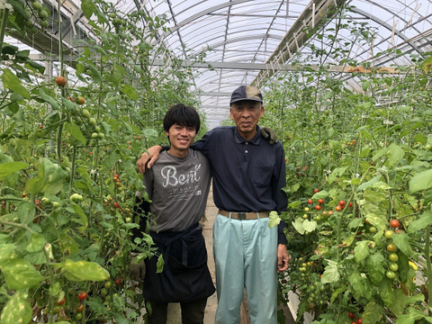 中々会えない大事な人に贈る トマト好きが 恋をする 1000ｇ 金赤トマト ﾐﾆﾄﾏﾄ 愛知県産 食べチョク 農家 漁師の産直ネット通販 旬の食材を生産者直送