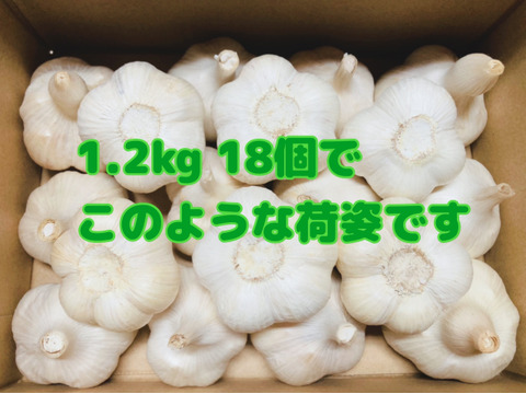 【限定販売】青森県田子町産にんにく1.2kg【イチオシBOX】