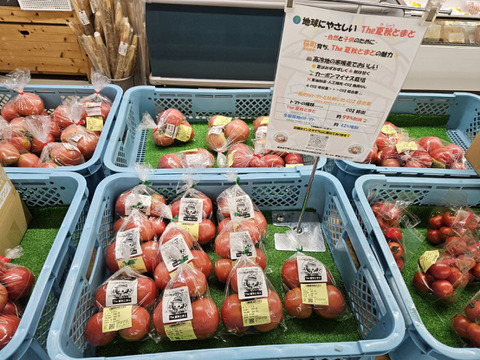 おいしさと環境配慮のハーモニ―『The夏秋とまと』(夏/赤-ピンク/A品/2.5キロ前後)