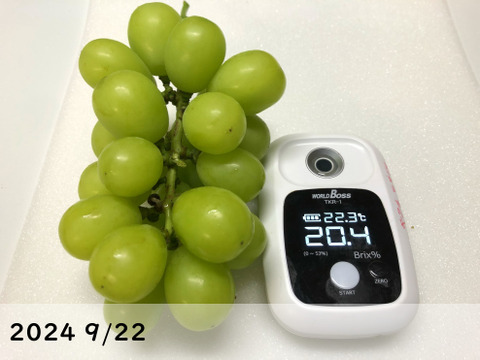 糖度抜群！種なしシャインマスカット　2房(約800g)　『クール便』