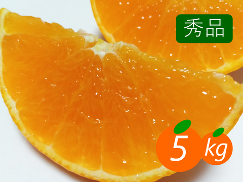 【秀品】まどんな 5kg みんなトリコになる“”プルプル“”新食感♡高級柑橘♫愛媛みかん！