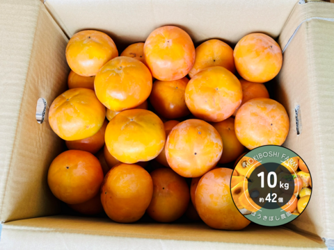 【家庭用】甘さ自慢の富有柿１０kg（約４２個）大山くろぼく土＆酵素発酵有機肥料育ち