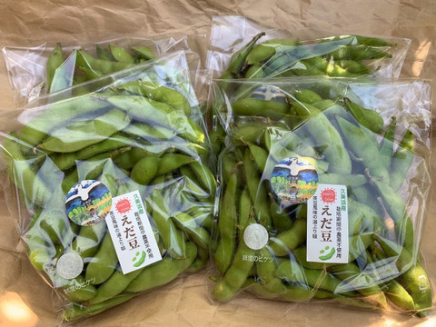 ＜予約＞　6月末頃から順次発送　枝豆（茶豆風味）味よし風味良し　栽培期間中農薬・化学肥料不使用自然栽培（250ｇ×２パック）