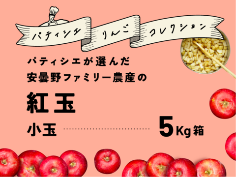 【有名パティシエ鎧塚さんがタルトタタンを作ってくれました！】紅玉5キロ箱 極小玉有り 商品ID66432 長野県 信州 安曇野 リンゴ 幻 幻のリンゴ 予約 希少 旬