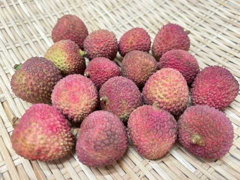 南国鹿児島産【生ライチ】【訳あり】最高峰品種玉荷包（約400g）