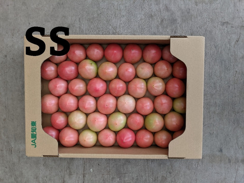 トマト4kg箱サイズSS