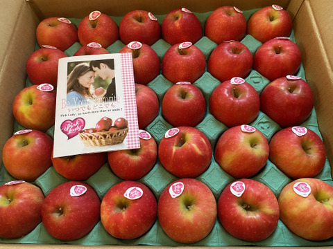 発送中🍎ピンクレディー®︎  5キロ箱 16玉〜33玉サイズ  長野県 信州 安曇野 リンゴ 幻 幻のリンゴ 予約 希少 ID64029 ピンクレディー