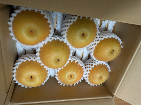 甘みと酸味が最高！豊水梨 約2.5kg(6〜8玉)【ギフト・熨斗対応】