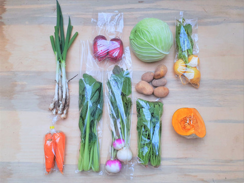 定期購入のお客様の合わせ買い時　専用　『子育て農家の野菜セット』　Sサイズ　7～8品目