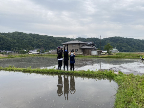 令和7年度 新米 岡山県産ヒノヒカリ玄米5㎏.10㎏：岡山県産のお