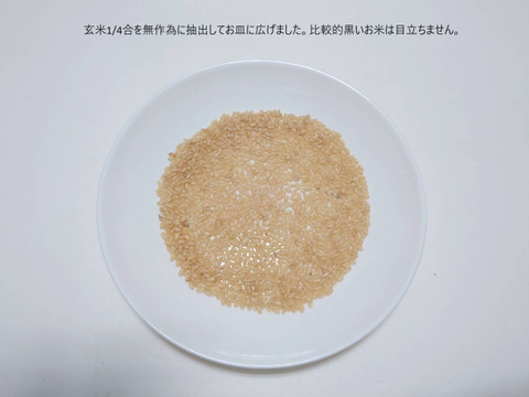 【2024産】　白米　きぬむすめ　(約5.0㎏≒33合)