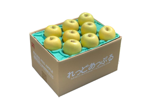 【2月上旬ころ発送】【小玉】ぐんま名月 幻と呼ばれた黄色りんご 家庭用 5kg (16〜28個)