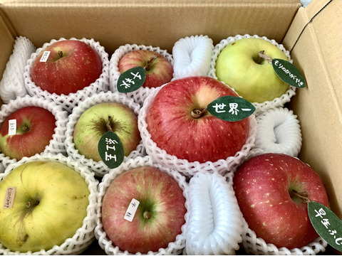 🍎 【冬ギフト】(家庭用)5品種詰め合わせ🍎3キロ   おまかせ 商品ID171041