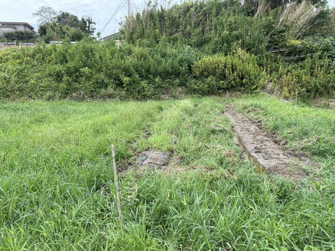 秋の自然栽培野菜LLセット7種類〜《12月、自然栽培野菜5.5kg前後80サイズ》朝採りで超新鮮［季節の固定種在来種専門農家だからできる］淡路島から初収穫固定種人参いり