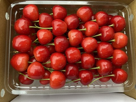近日中発送！【クール便】紅秀峰 1kg (500g2箱) LM混み