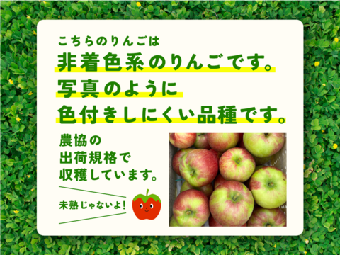 【甘い夏りんごですよー！】サンつがる 3キロ箱 6玉〜15玉サイズ商品ID44867 長野県 信州 安曇野 リンゴ 幻 幻のリンゴ 予約 希少 旬