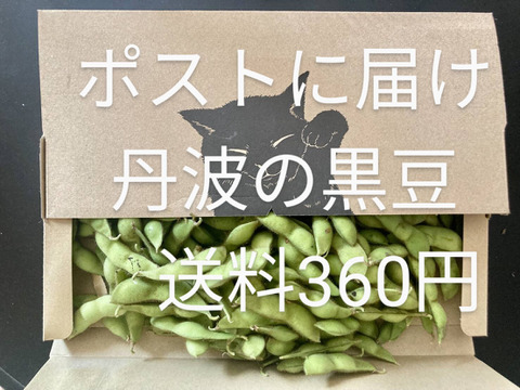 今季最終〜お手軽ポストに新鮮丹波黒大豆枝豆
お得品700g
