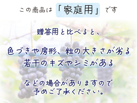 花笑み農園　岡山のBKシードレス約２kg（３～６房）家庭用【9/14～順次発送】B-2家