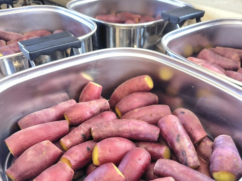 【試作品】ひとくち干し芋90g×3袋（規格外品、大分県産、栽培期間中農薬・肥料不使用、メール便発送）